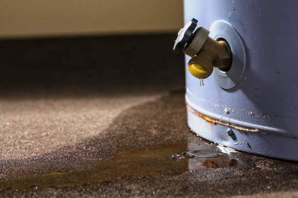 Best Flood restoration services  in Hart, TX