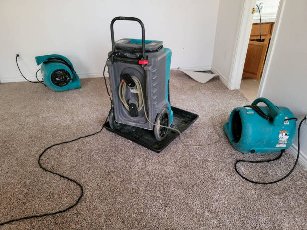 Best Flooded house restoration  in Hart, TX