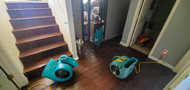 Best Residential water damage restoration  in Hart, TX