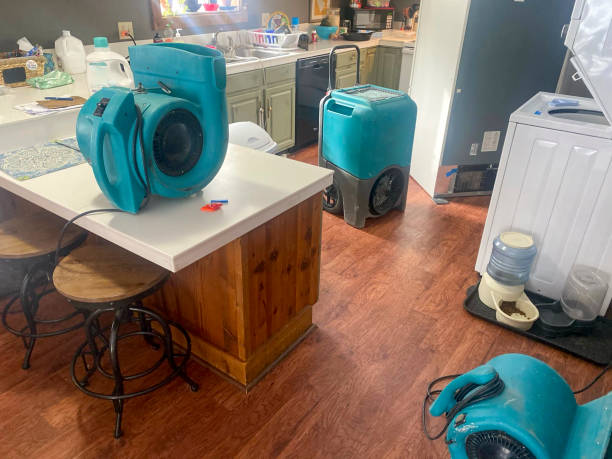 Best Fire Damage Restoration  in Hart, TX
