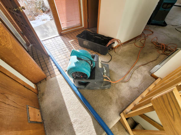 Best Carpet water damage restoration  in Hart, TX
