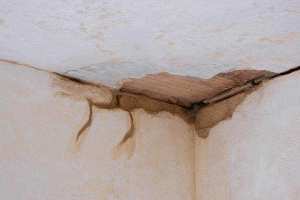 Best Flooded house restoration  in Hart, TX