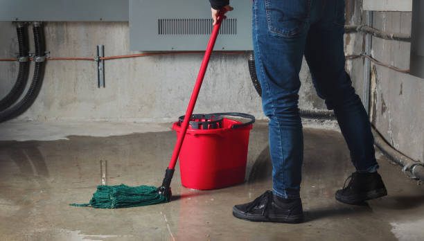 Best Basement water damage restoration  in Hart, TX