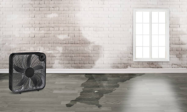 Best 24/7 water damage repair  in Hart, TX