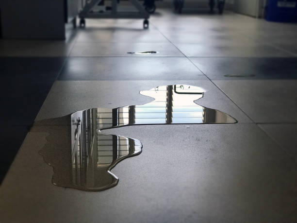 Best Local water damage restoration  in Hart, TX