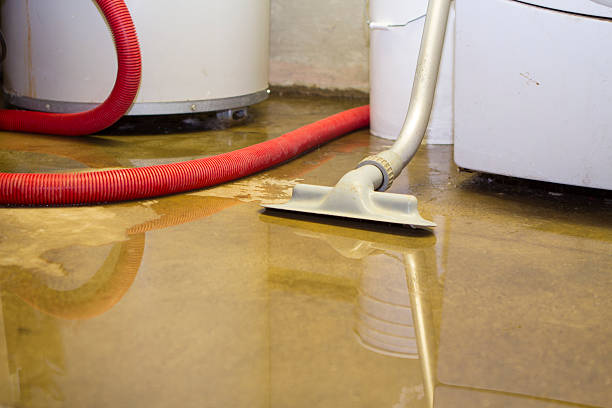 Best Water damage restoration services  in Hart, TX