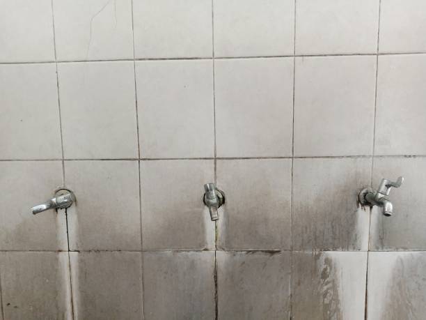 Best Professional water damage repair  in Hart, TX