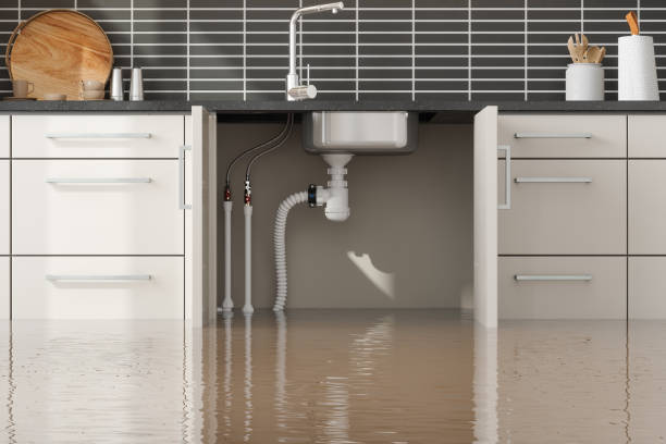Best Residential water damage restoration  in Hart, TX