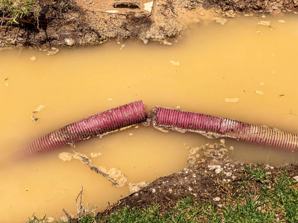 Best Water damage repair service  in Hart, TX